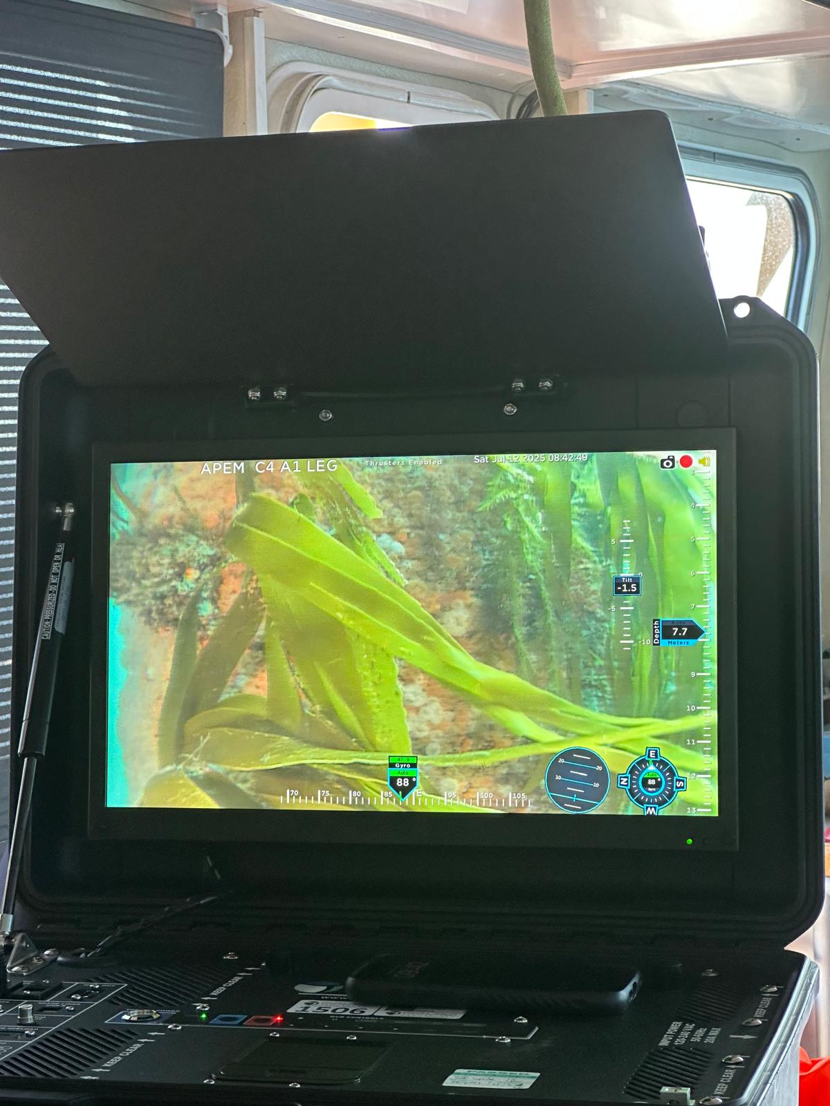 WhatsApp Image 2025-08-12 at 11.09.03_86d4bc93