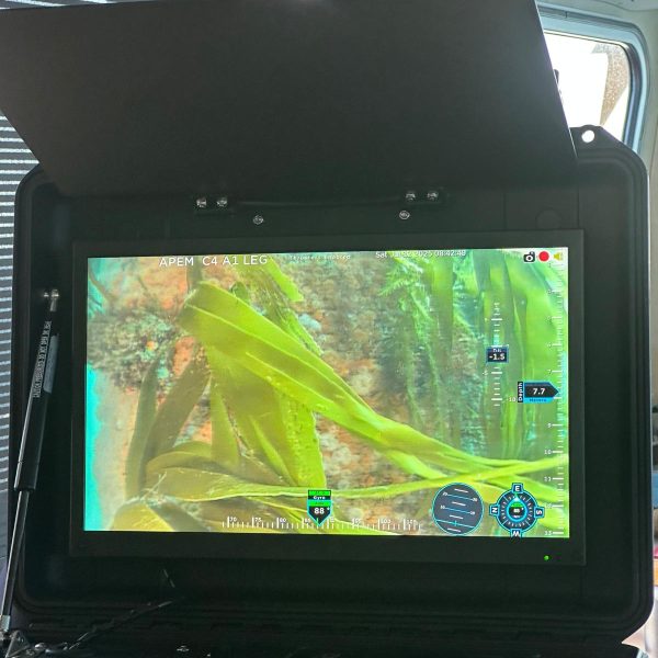 WhatsApp Image 2025-08-12 at 11.09.03_86d4bc93