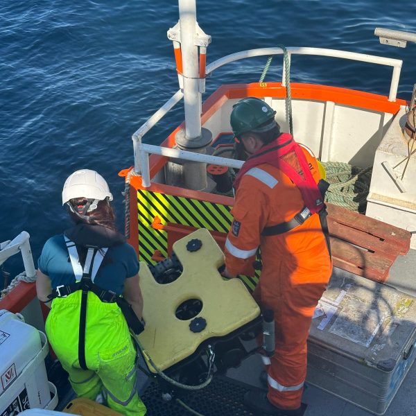 WhatsApp Image 2025-08-12 at 11.12.35_d5679eb8