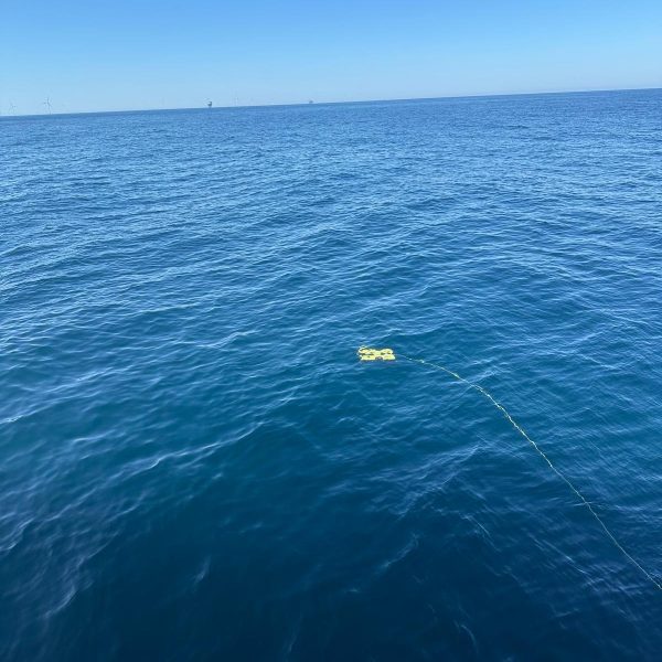 WhatsApp Image 2025-08-12 at 11.12.35_fa9d2a65